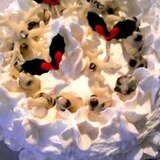 ホワイトクリスマス★雪の結晶デコレーションケーキ
